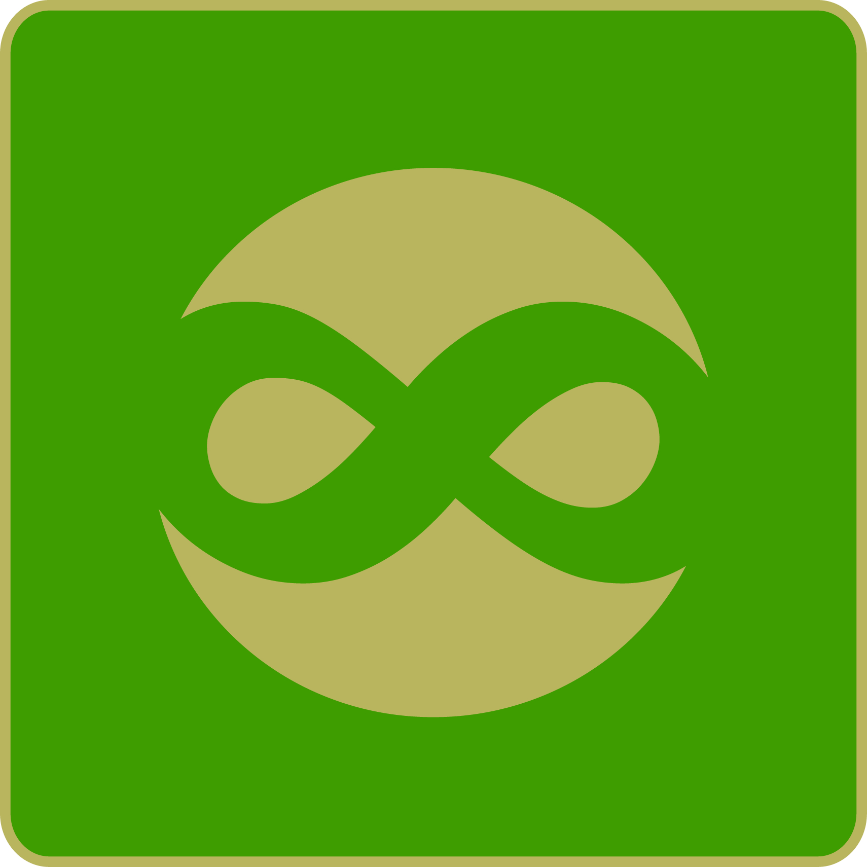 vietnam-organization
